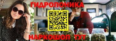 дурь Будённовск